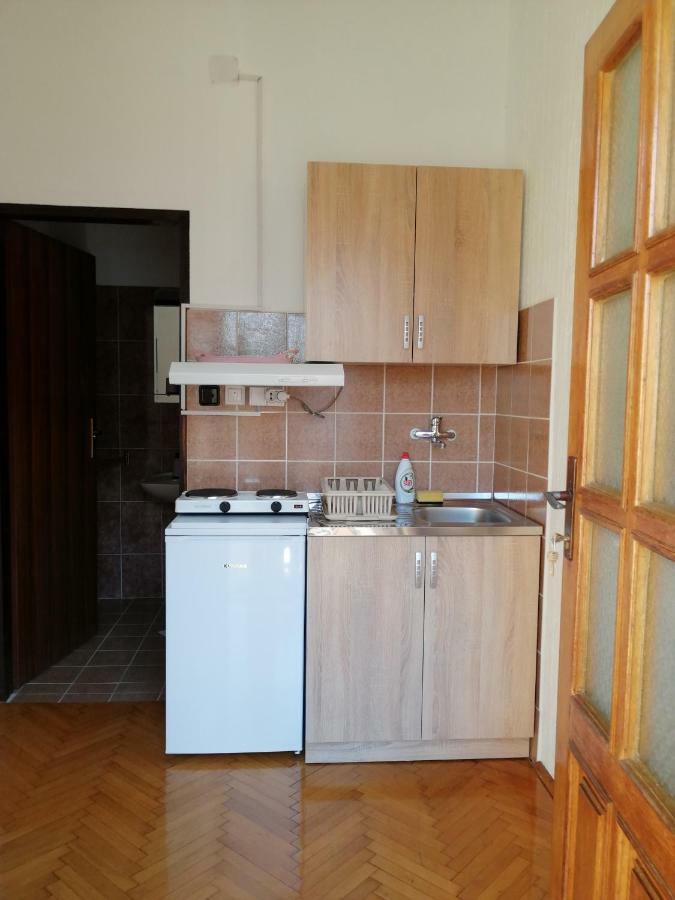 Apartman Studio Katarina Golubac Zewnętrze zdjęcie